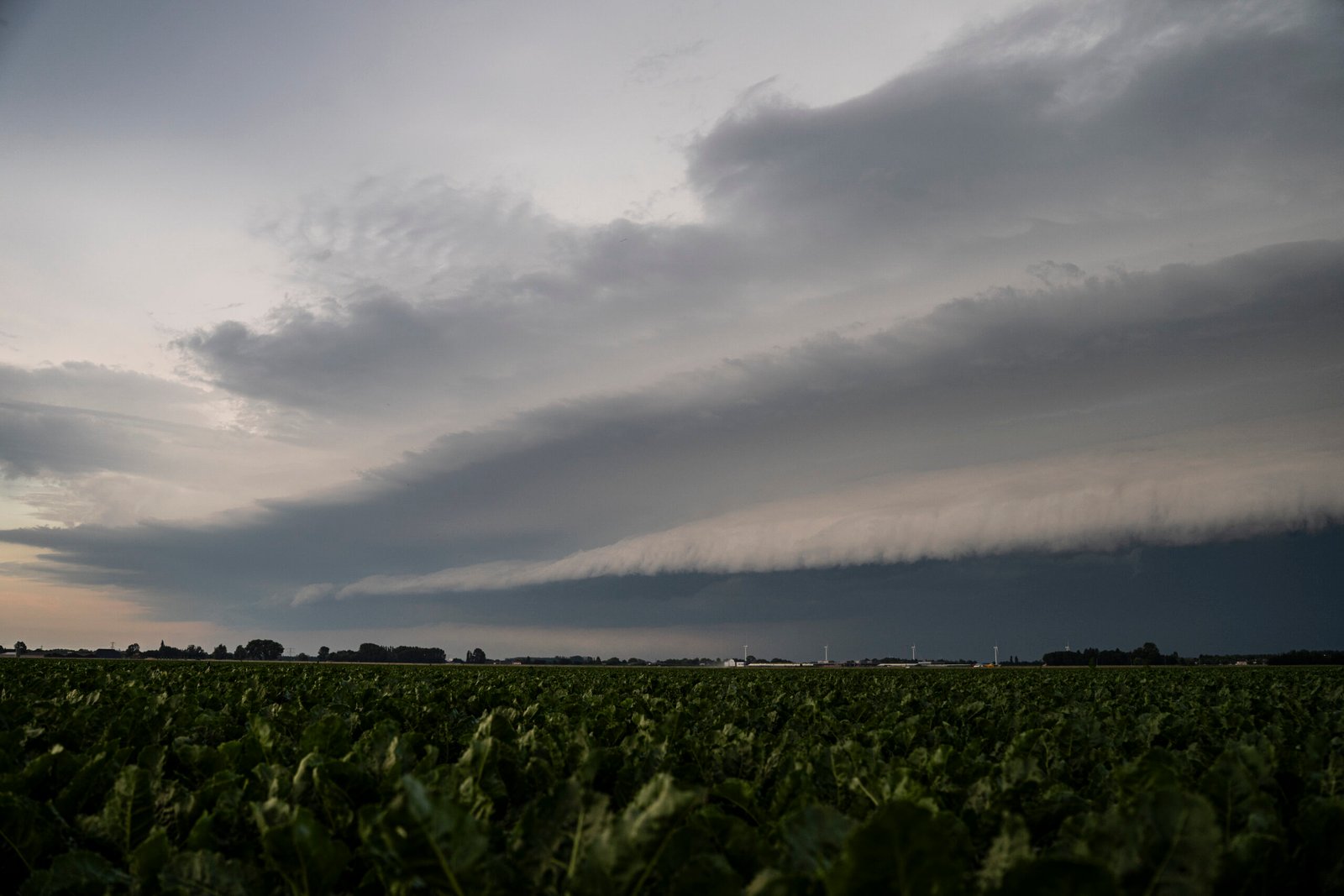Shelf cloud MCS over de Benelux