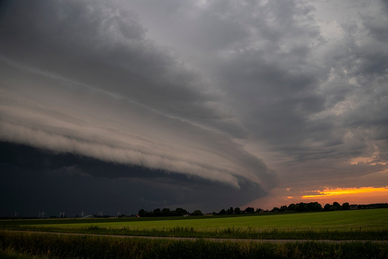 Shelfcloud 19 Juni 2026